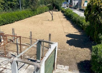1779439323.jpg - Casa indipendente Senigallia - foto 4