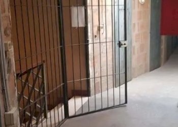 Screenshot_22-5-2026_112917_pdfsimpli.com - Three-room apartment Viale A. Gramsci 243, Modena (neighborhood Circoscrizione 1) - photo 4