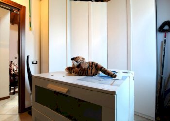 Three-room apartment Via Antonio Stradivari, Reggio nell'Emilia - photo 11