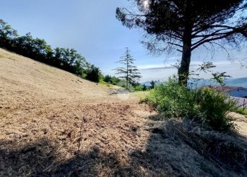 Building land Via Strigara Castello, Sogliano al Rubicone - photo 2