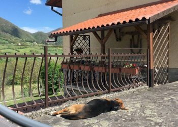 Casa indipendente Via Ca' di Rigone, Castel d'Aiano - foto 17
