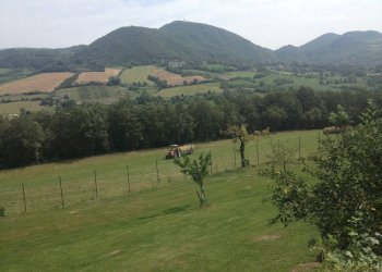 Casa indipendente Via Ca' di Rigone, Castel d'Aiano - foto 24