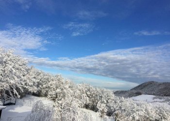 Casa indipendente Via Ca' di Rigone, Castel d'Aiano - foto 43