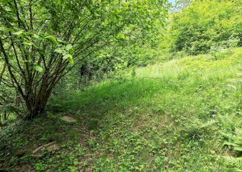Baita Frassino - photo 46