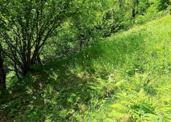Baita Frassino - photo 49