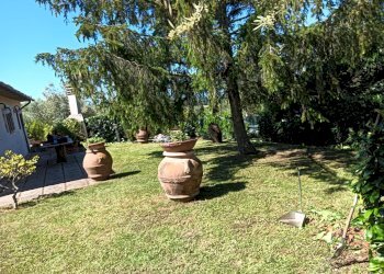 Foto 34 - Rustico Montespertoli - foto 34