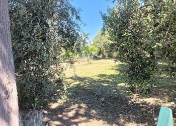 Foto 38 - Rustico Montespertoli - foto 38