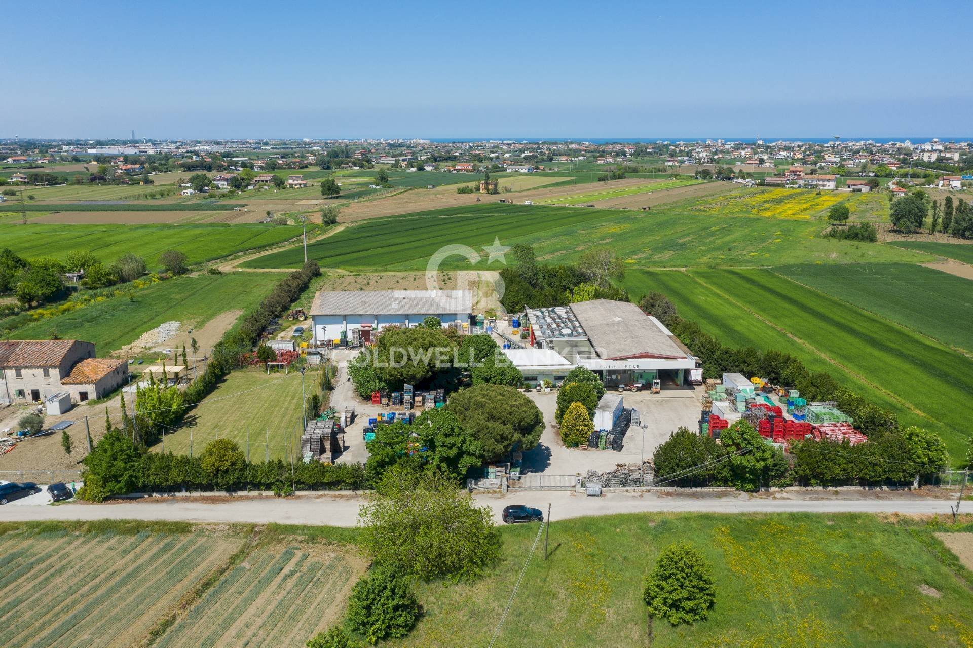 Foto 2 - Azienda agricola Via Selve
 
9, Bellaria-Igea Marina - foto 2