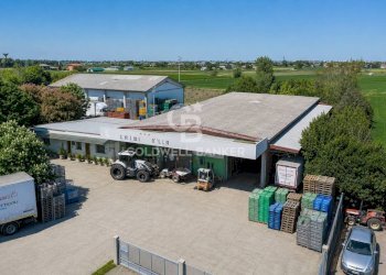 Foto 1 - Azienda agricola Via Selve
 
9, Bellaria-Igea Marina - foto 1