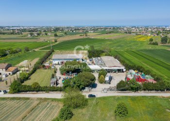 Foto 2 - Azienda agricola Via Selve
 
9, Bellaria-Igea Marina - foto 2