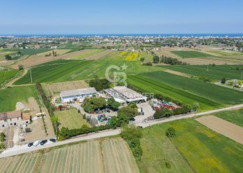 Foto 3 - Azienda agricola Via Selve
 
9, Bellaria-Igea Marina - foto 3