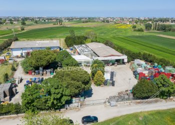 Foto 4 - Azienda agricola Via Selve
 
9, Bellaria-Igea Marina - foto 4