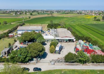 Foto 5 - Azienda agricola Via Selve
 
9, Bellaria-Igea Marina - foto 5