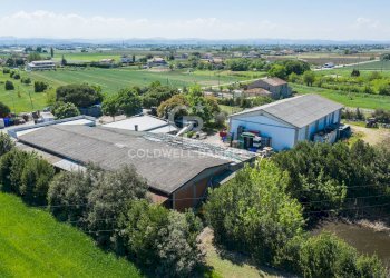 Foto 7 - Azienda agricola Via Selve
 
9, Bellaria-Igea Marina - foto 7