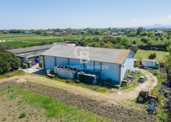 Foto 8 - Azienda agricola Via Selve
 
9, Bellaria-Igea Marina - foto 8