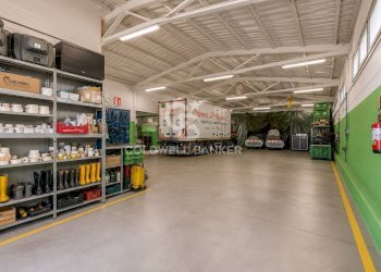 Foto 11 - Azienda agricola Via Selve
 
9, Bellaria-Igea Marina - foto 11