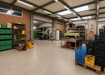Foto 12 - Azienda agricola Via Selve
 
9, Bellaria-Igea Marina - foto 12