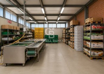 Foto 13 - Azienda agricola Via Selve
 
9, Bellaria-Igea Marina - foto 13