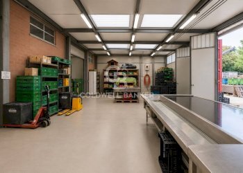 Foto 16 - Azienda agricola Via Selve
 
9, Bellaria-Igea Marina - foto 16