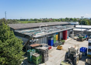Foto 17 - Azienda agricola Via Selve
 
9, Bellaria-Igea Marina - foto 17