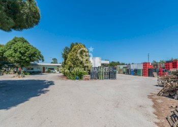 Foto 23 - Azienda agricola Via Selve
 
9, Bellaria-Igea Marina - foto 23