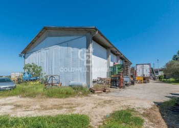 Foto 25 - Azienda agricola Via Selve
 
9, Bellaria-Igea Marina - foto 25