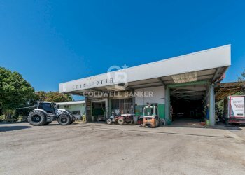 Foto 30 - Azienda agricola Via Selve
 
9, Bellaria-Igea Marina - foto 30