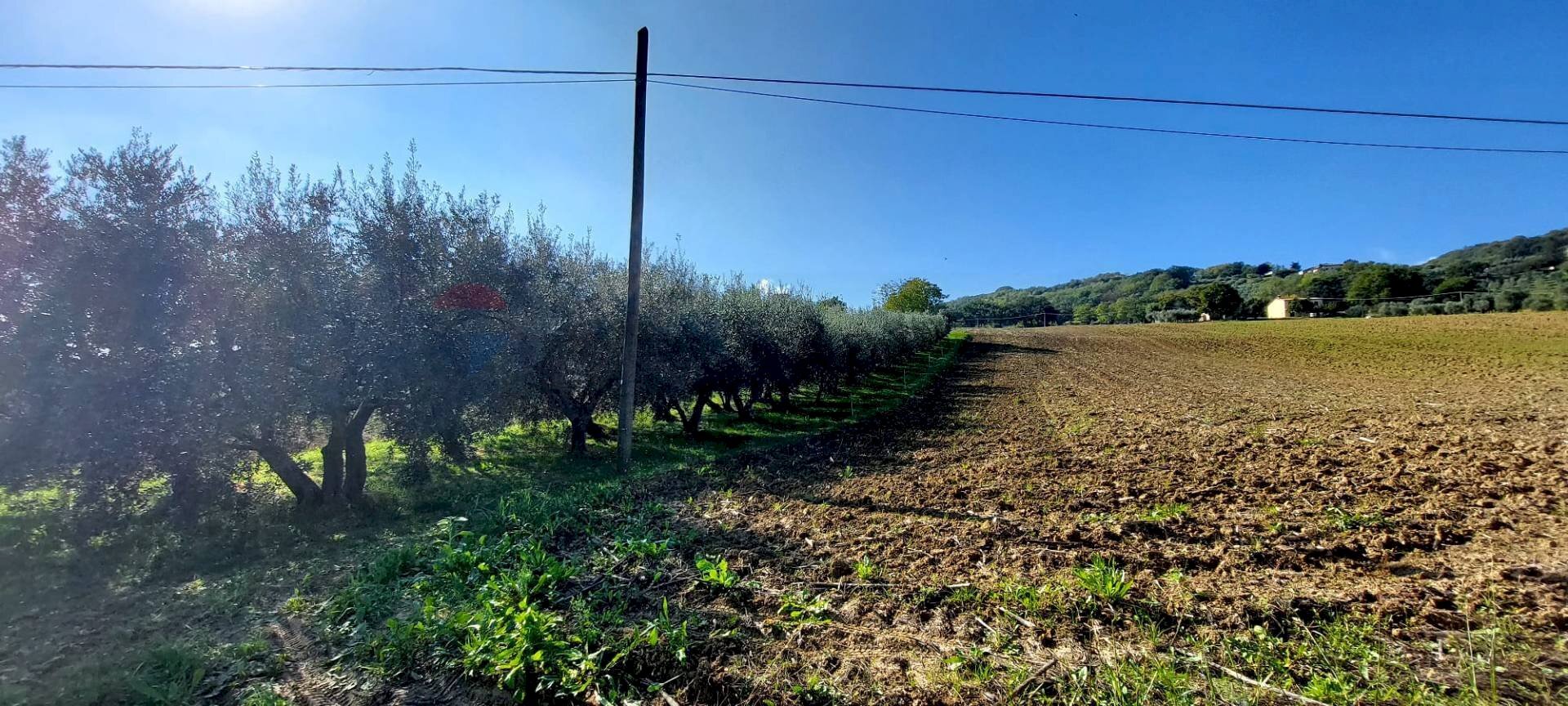 Vista delle montagne - Terreno agricolo Via Forchiusa Est, Serra San Quirico - foto 1