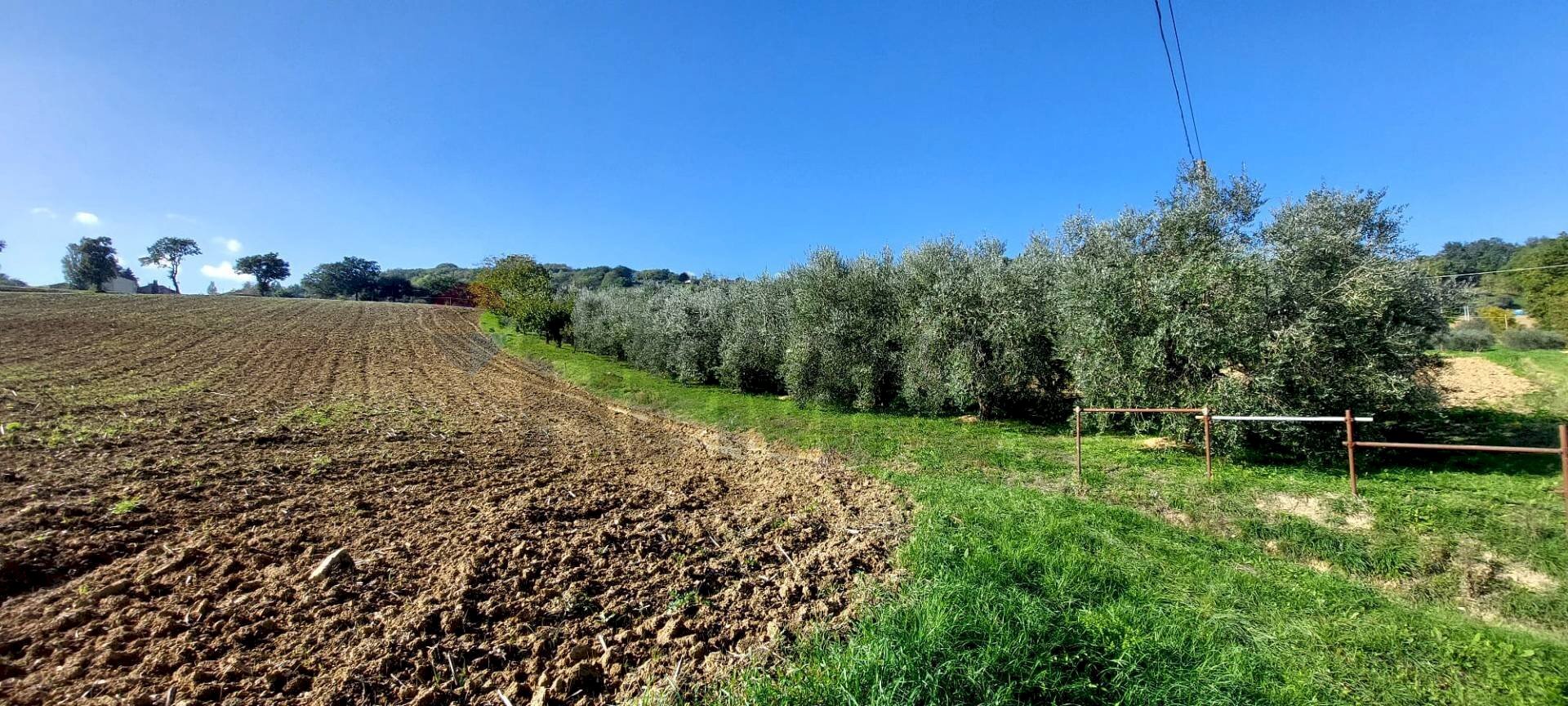 Vista delle montagne - Terreno agricolo Via Forchiusa Est, Serra San Quirico - foto 3