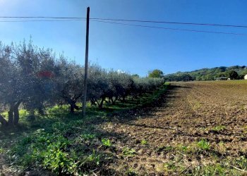 Vista delle montagne - Terreno agricolo Via Forchiusa Est, Serra San Quirico - foto 1