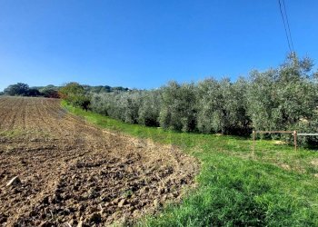 Vista delle montagne - Terreno agricolo Via Forchiusa Est, Serra San Quirico - foto 3