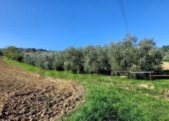 Vista delle montagne - Terreno agricolo Via Forchiusa Est, Serra San Quirico - foto 5