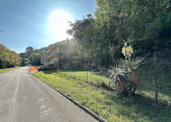 Giardino - Rustico Via Fratelli Rosselli
 
snc, Serra San Quirico - foto 11