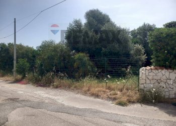 Giardino - Terreno edificabile Via Lago di Varano, Siracusa - foto 3