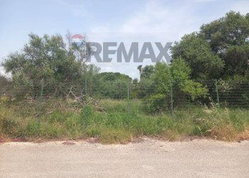 Giardino - Terreno edificabile Via Lago di Varano, Siracusa - foto 6