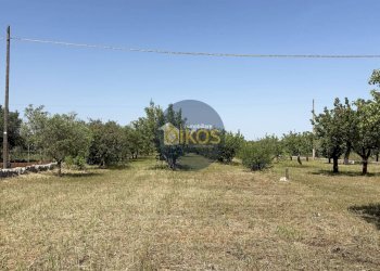 Foto 4 - Agricultural land contrada Lamione
snc, Polignano a Mare - photo 4