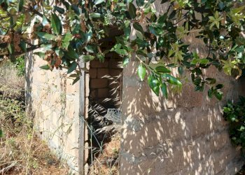 Rustico - Rustic Contrada Pedalino, Comiso - photo 5