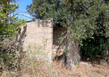 esterno - Rustic Contrada Pedalino, Comiso - photo 6