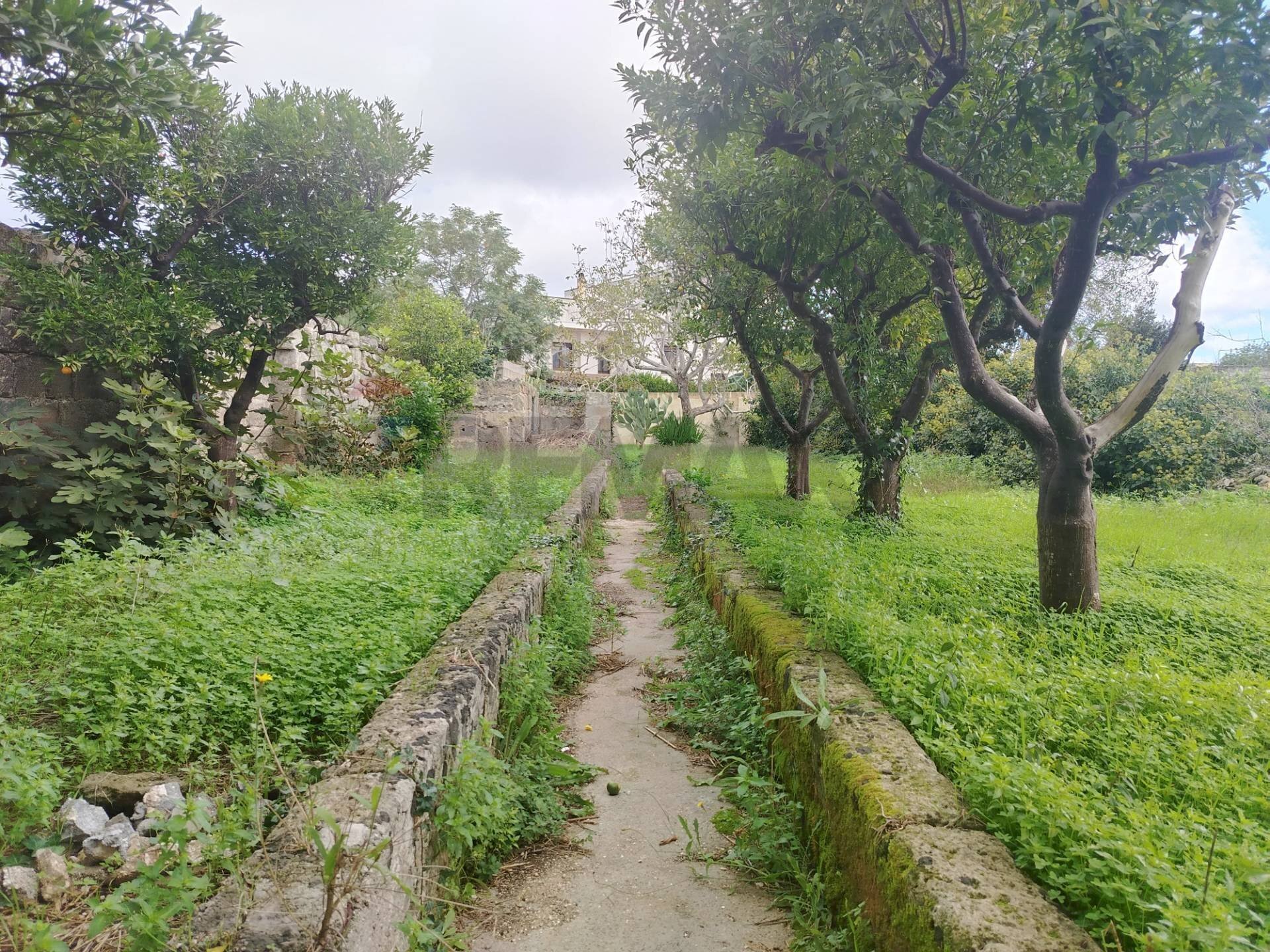 Giardino - Independent house Spongano - photo 1