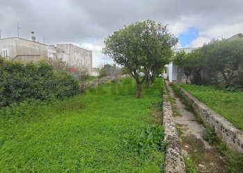 Giardino - Independent house Spongano - photo 20