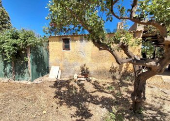 Casa all\'aperto - Terreno agricolo Contrada Piane vecchie
snc, Lascari - foto 4