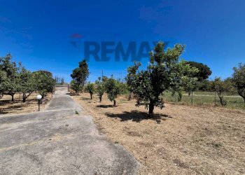 Non correlato - Terreno agricolo Contrada Piane vecchie
snc, Lascari - foto 8
