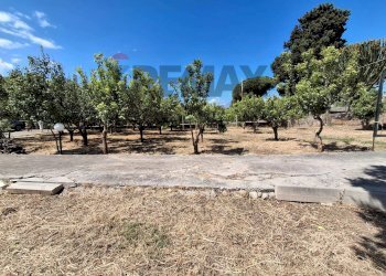 Giardino - Terreno agricolo Contrada Piane vecchie
snc, Lascari - foto 16