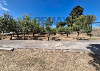 Giardino - Terreno agricolo Contrada Piane vecchie
snc, Lascari - foto 17