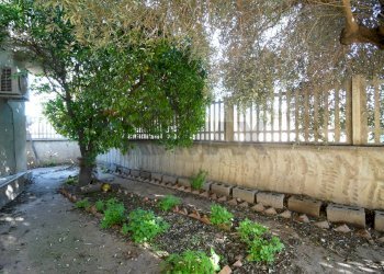 Giardino - Independent house Via Giovanni Antonio Canal
 
2, Cagliari - photo 30
