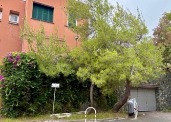 Zona - Attic via delle Mimose, 6, Varazze - photo 13