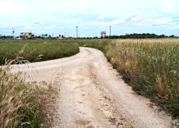 Terreno - Terreno edificabile strada Lecce, Nardò - foto 6