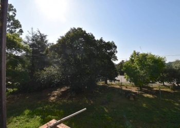 Terreno - Rustic via Fratel Teodoreto, Vinchio - photo 23