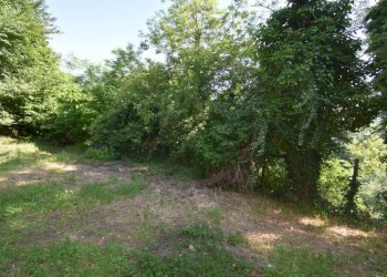 Terreno - Rustic via Fratel Teodoreto, Vinchio - photo 31