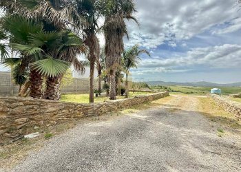 Foto 4 - Terreno agricolo Contrada Valguarnera, Partinico - foto 4